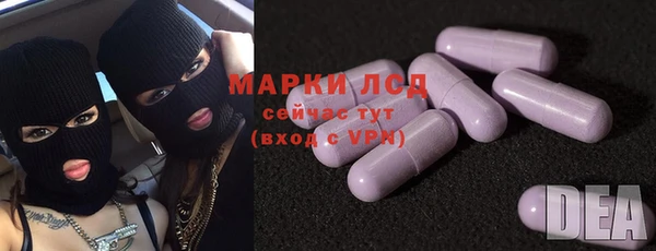 PSILOCYBIN Няндома