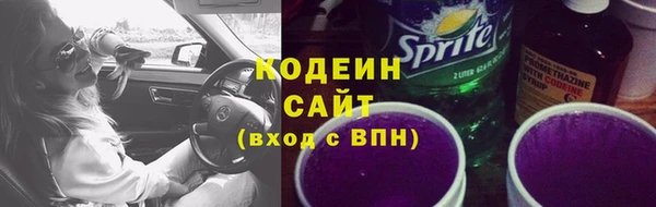 шишки Нязепетровск