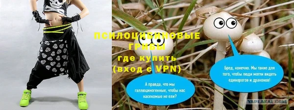 СК Абинск