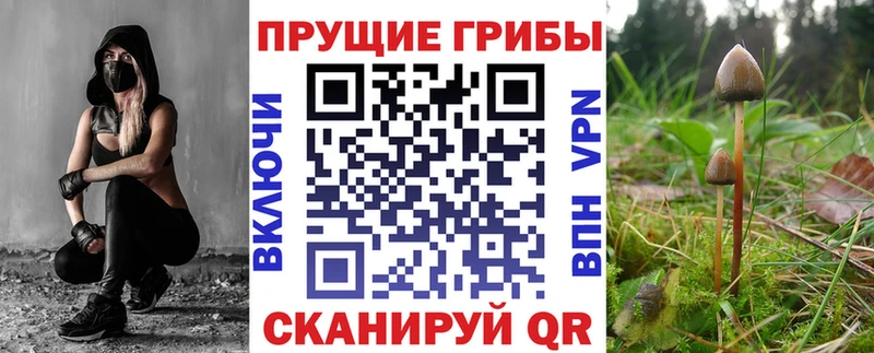 Псилоцибиновые грибы MAGIC MUSHROOMS  Суджа 
